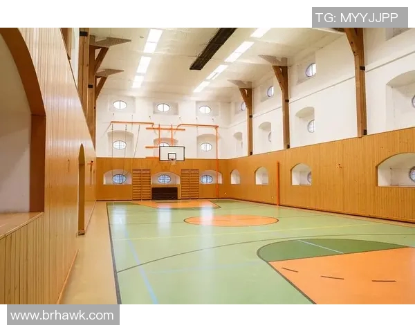 体育馆场地安全检查与整改方案的全面实施与优化策略探讨