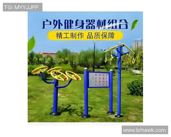 全面解析体育健身器材图片大全助你选择适合的健身工具与器械