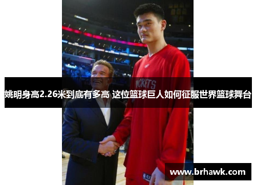 姚明身高2.26米到底有多高 这位篮球巨人如何征服世界篮球舞台