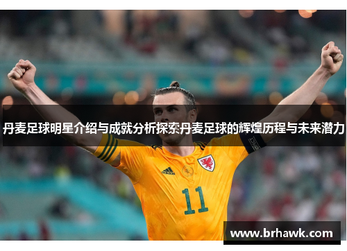 丹麦足球明星介绍与成就分析探索丹麦足球的辉煌历程与未来潜力