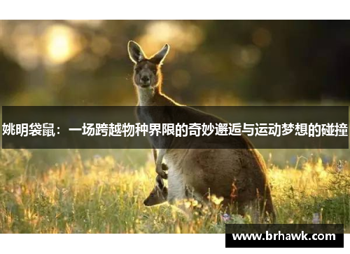 姚明袋鼠：一场跨越物种界限的奇妙邂逅与运动梦想的碰撞