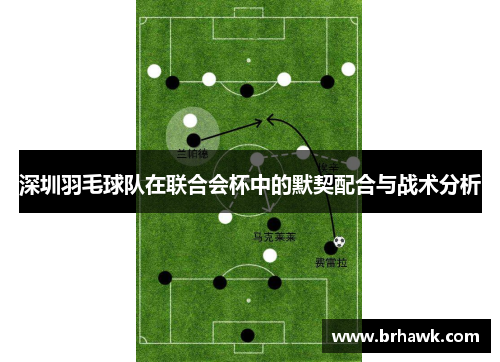 深圳羽毛球队在联合会杯中的默契配合与战术分析