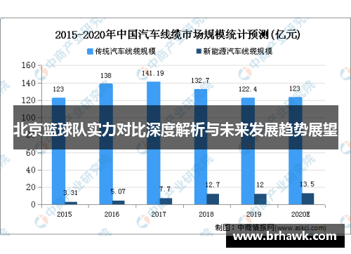 北京篮球队实力对比深度解析与未来发展趋势展望