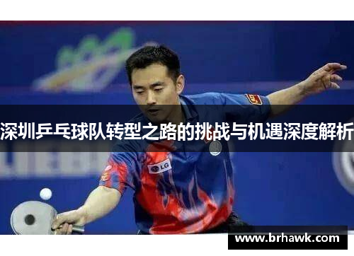 深圳乒乓球队转型之路的挑战与机遇深度解析