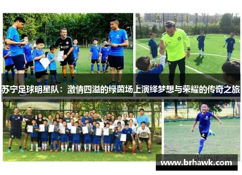 苏宁足球明星队：激情四溢的绿茵场上演绎梦想与荣耀的传奇之旅